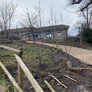 Construction on new painted dog enclosure