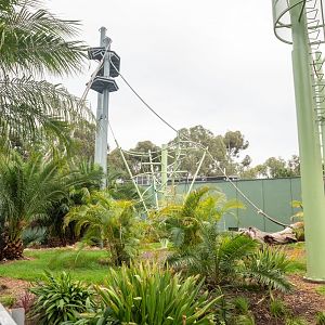 Sumatran Orangutan Redevelopment