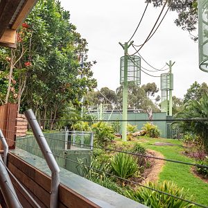 Sumatran Orangutan Redevelopment