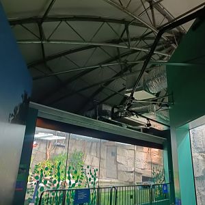 General View in SLoRA (new Reptile House)