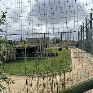 Lion Enclosure at Wolds Wildlife Park (March 2024)