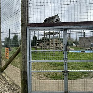 Lion Enclosure Service Door at Wolds Wildlife Park (March 2024)