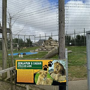 Lion Enclosure at Wolds Wildlife Park (March 2024)