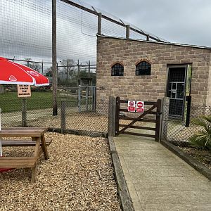 Lion Holding Building at Wolds Wildlife Park (March 2024)