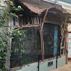 Themed renovations in Blackburn Pavilion