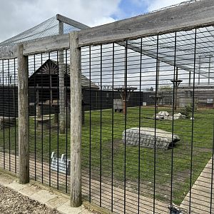 Cougar Enclosure at Wolds Wildlife Park (March 2024)