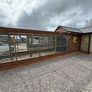 Peach-faced Lovebird Aviary at Wolds Wildlife Park (March 2024)