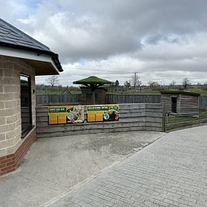 Kirk's Dik-Dik / African Spurred Tortoise Enclosure at Wolds Wildlife Park (March 2024)