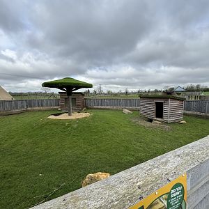Kirk's Dik-Dik / African Spurred Tortoise Enclosure at Wolds Wildlife Park (March 2024)