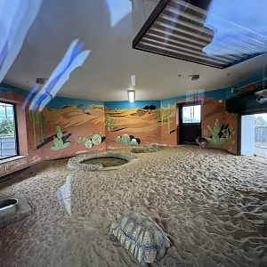 Kirk's Dik-Dik / African Spurred Tortoise Indoor Enclosure at Wolds Wildlife Park (March 2024)