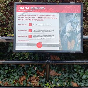 Diana Monkey signage at former macaque enclosure
