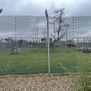 Primate Enclosure at Wolds Wildlife Park (March 2024)