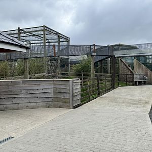 Primate Tunnels at Wolds Wildlife Park (March 2024)