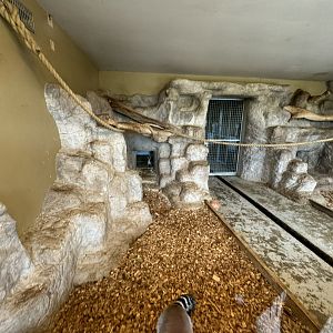 Lemur Indoor Enclosure at Wolds Wildlife Park (March 2024)