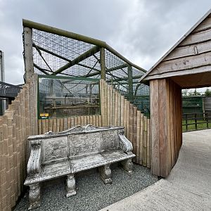 Pig-tailed Macaque Enclosure at Wolds Wildlife Park (March 2024)