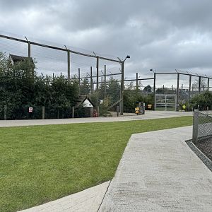 Lion Enclosures at Wolds Wildlife Park (March 2024)