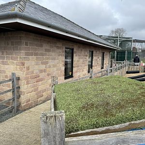 Monkey House at Wolds Wildlife Park (March 2024)