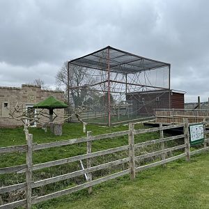 Squirrel Monkey Enclosure at Wolds Wildlife Park (March 2024)