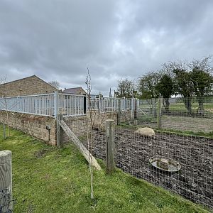 Tapir / Capybara Holding Areas at Wolds Wildlife Park (March 2024)