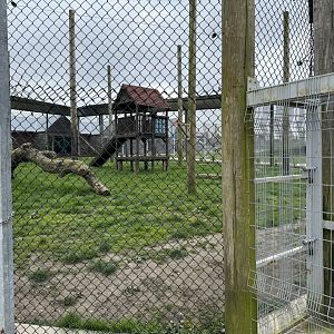 Indian Leopard Enclosure at Wolds Wildlife Park (March 2024)