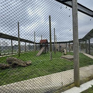 Indian Leopard Enclosure at Wolds Wildlife Park (March 2024)