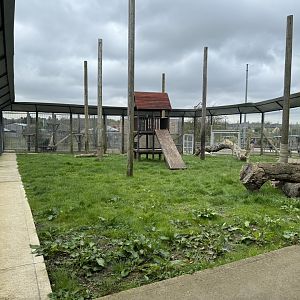 Indian Leopard Enclosure at Wolds Wildlife Park (March 2024)