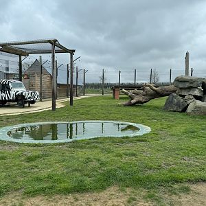 Bengal Tiger Enclosure at Wolds Wildlife Park (March 2024)