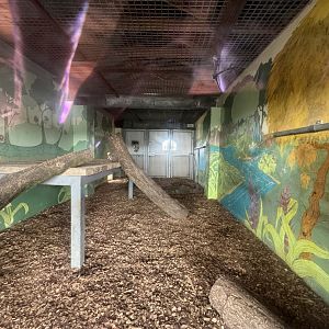 Bengal Tiger Indoor Enclosure at Wolds Wildlife Park (March 2024)