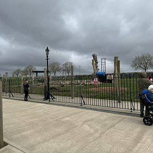 European Brown Bear Enclosure at Wolds Wildlife Park (March 2024)