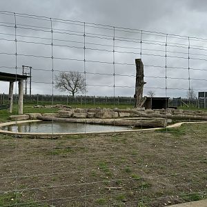 European Brown Bear Enclosure at Wolds Wildlife Park (March 2024)