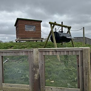 Coati Enclosure at Wolds Wildlife Park (March 2024)
