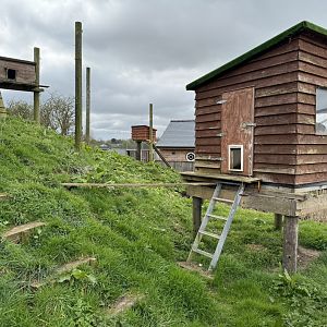 Raccoon Enclosure at Wolds Wildlife Park (March 2024)