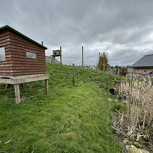Raccoon Enclosure at Wolds Wildlife Park (March 2024)