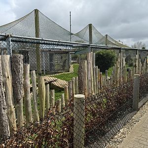 Eurasian Lynx Enclosure at Wolds Wildlife Park (March 2024)