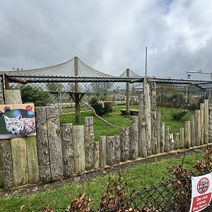 Eurasian Lynx Enclosure at Wolds Wildlife Park (March 2024)