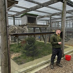 Snow Leopard Keeper Talk at Wolds Wildlife Park (March 2024)