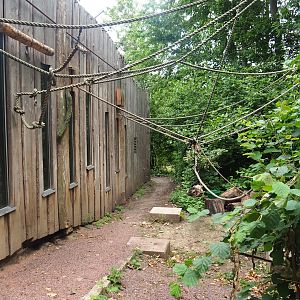 Bolivian squirrel monkey house and climbing ropes, 2023-07-18