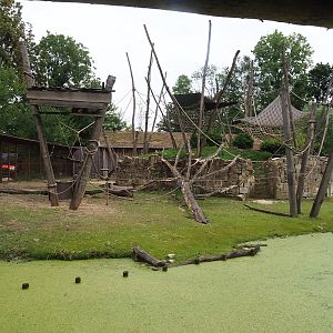 Capybara and Yellow-breasted capuchin exhibit, 2023-07-18