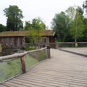 Visitor boardwalk between monkey islands, 2023-07-18