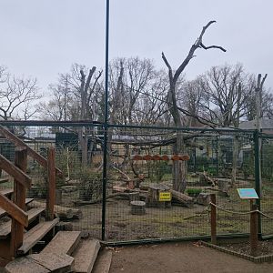 Bonnet Macaque Exhibit, Tierpark Eilenburg
