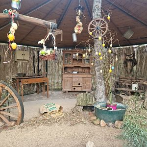 Domestic Ferret exhibit, Tierpark Eilenburg