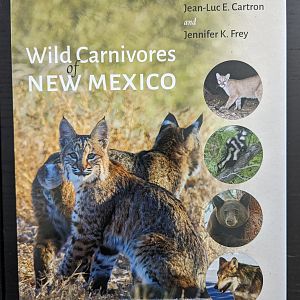 Wild Carnivores of New Mexico