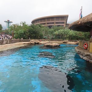 Dolphin island tank