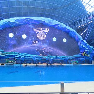 Orca show tank