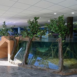 Mangrove - 8th floor