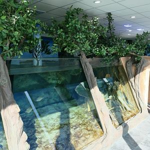 Mangrove - 8th floor