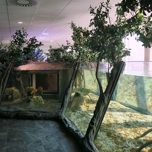 Mangrove - 8th floor