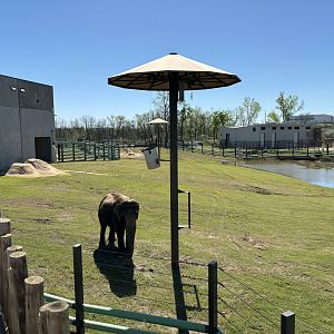 Tulsa Zoo Elephant Preserve Main Yard