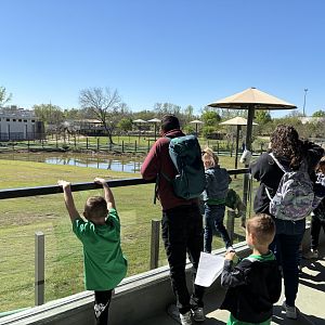 Tulsa Zoo Elephant Preserve Yard Viewing