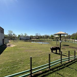 Tulsa Zoo Elephant Preserve Main Yard